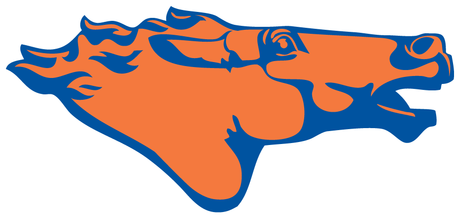 Boise State Broncos 1976-1977 Secondary Logo diy DTF decal sticker